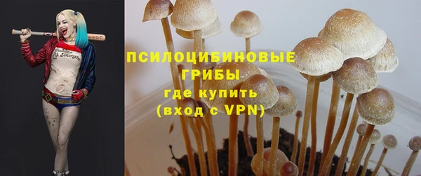 соль курить ск Дмитриев