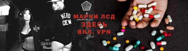 PSILOCYBIN Дмитров