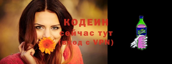 apvp Дмитровск