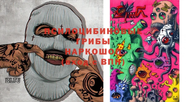 PSILOCYBIN Дмитров