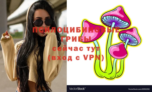 соль курить ск Дмитриев