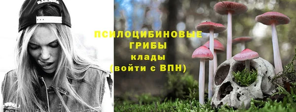соль курить ск Дмитриев